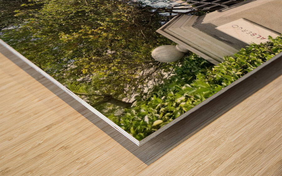 The Gates of Capri Series 3 Wood print