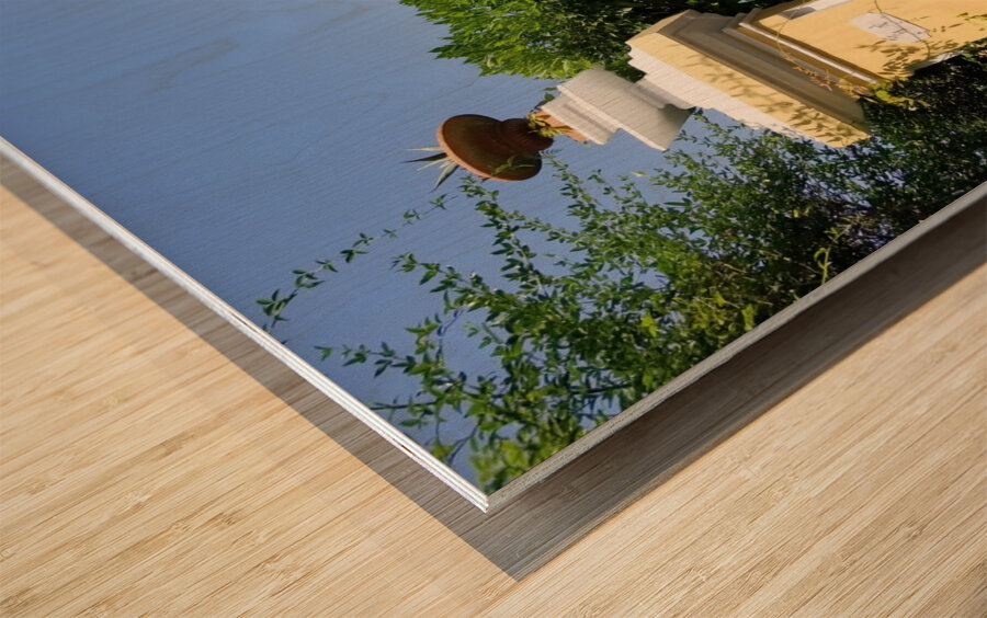 The Gates of Capri Series 1 Wood print