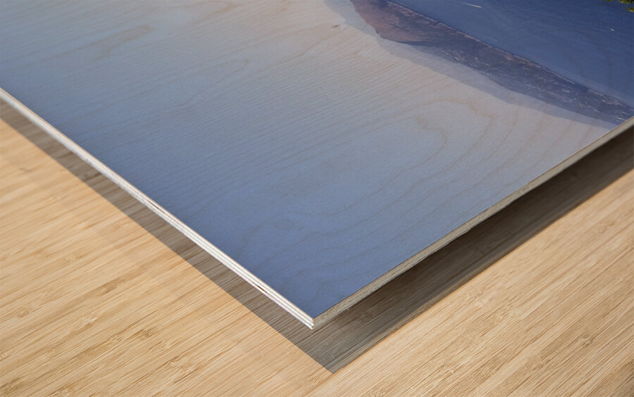 View From Tiberius Castle Wood print