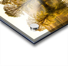 Reflection Of Trees In A Lake Acrylic print