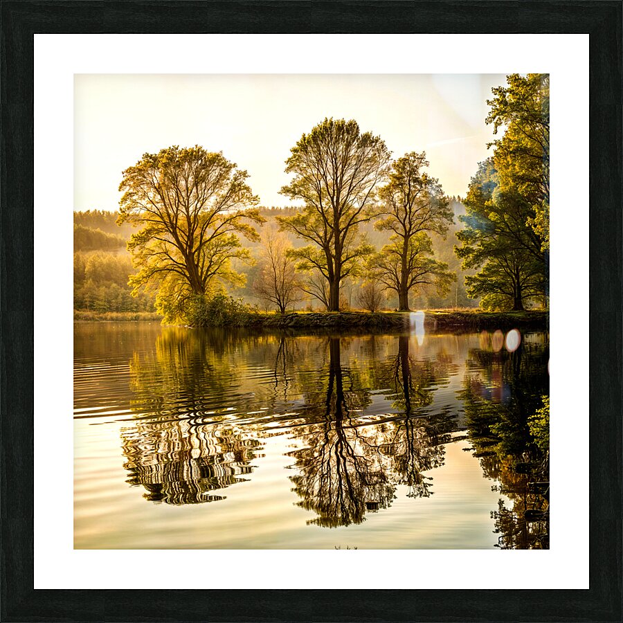 Reflection Of Trees In A Lake Picture Frame print