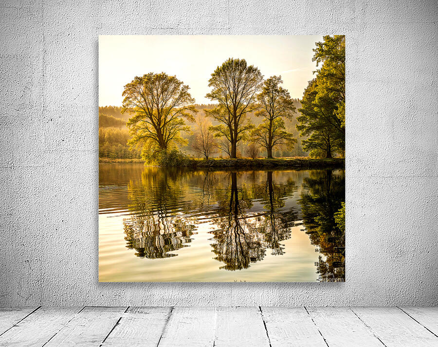 Reflection Of Trees In A Lake Wall Preview