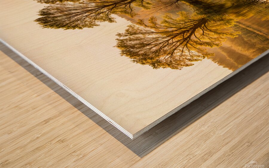 Reflection Of Trees In A Lake Wood print