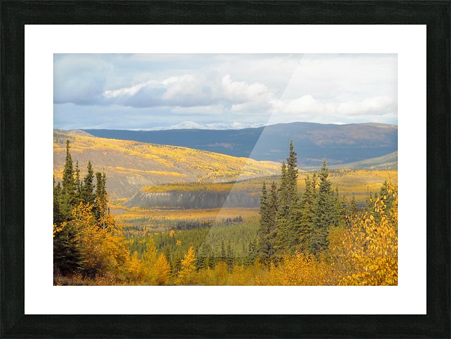  Fine Art print