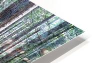 Nymph Falls BC HD Metal print