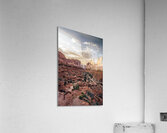 arches National Park Acrylic Print