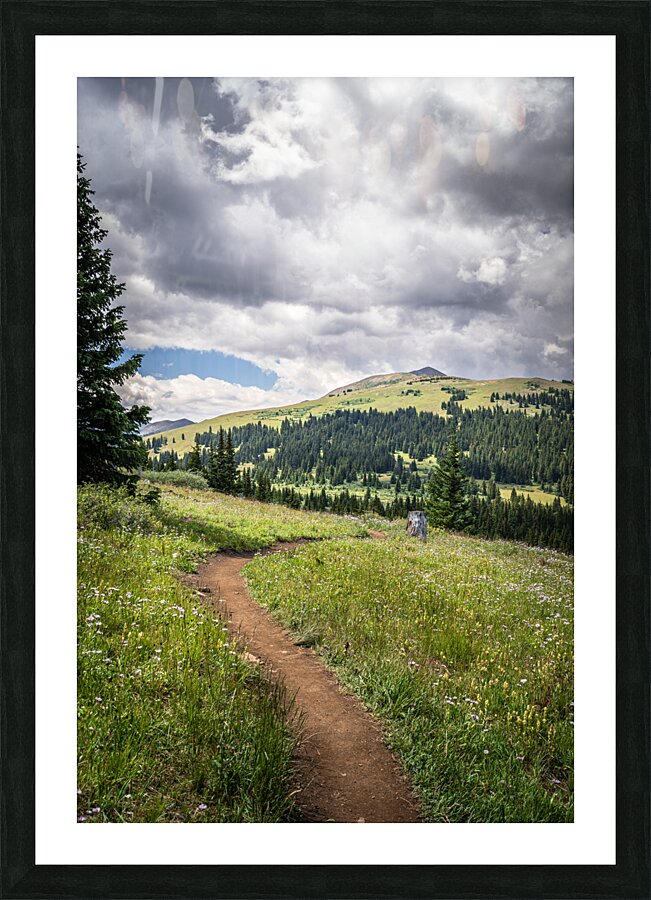 Nature  Picture Frame print