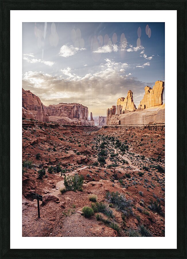 arches National Park Picture Frame print