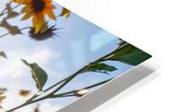Bloom HD Metal print