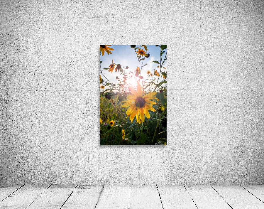 Bloom Wall Preview