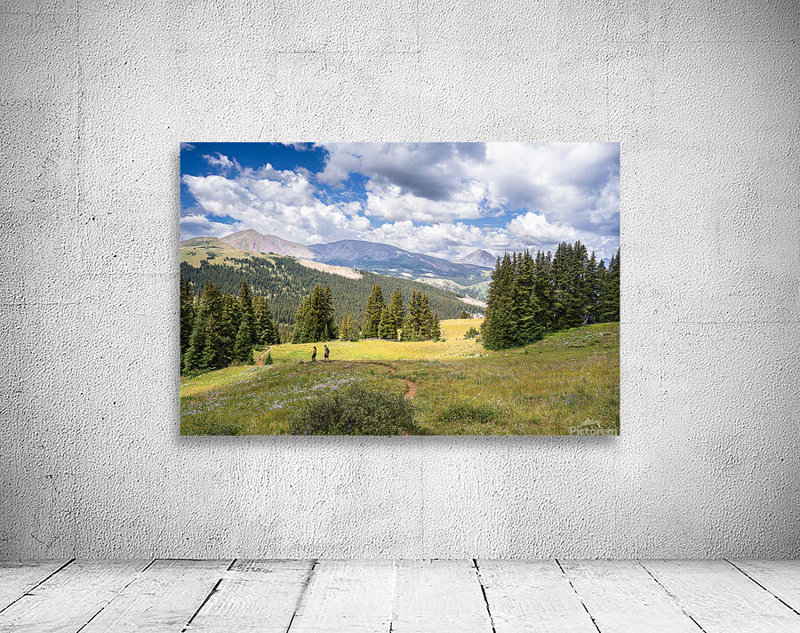 RMNP Wall Preview