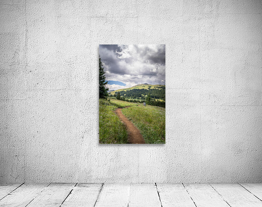 Nature  Wall Preview