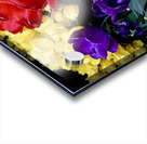 Black Eye Acrylic print