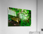 Park Bench Acrylic Print