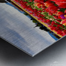 Field of Glory  Metal print