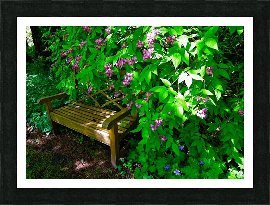 Park Bench Picture Frame print