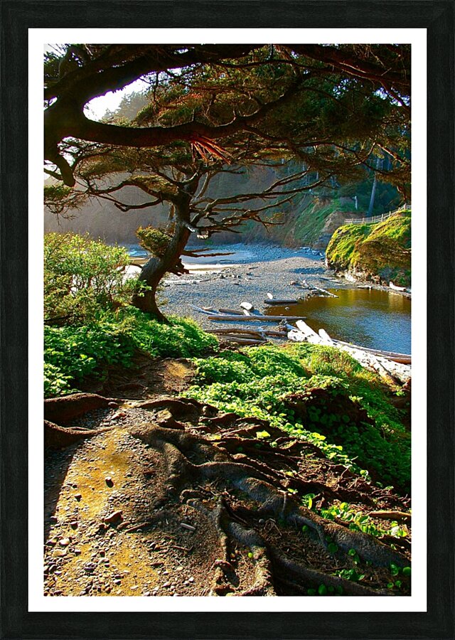 Beachside Pathway Picture Frame print