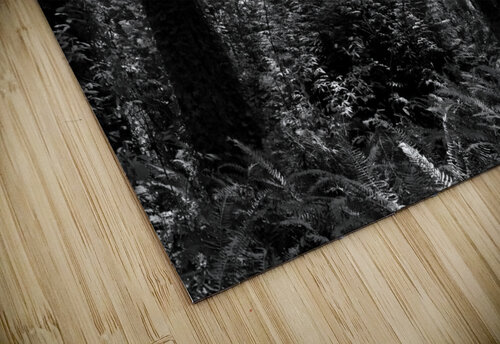 Forbidden Forest Limone Photography puzzle