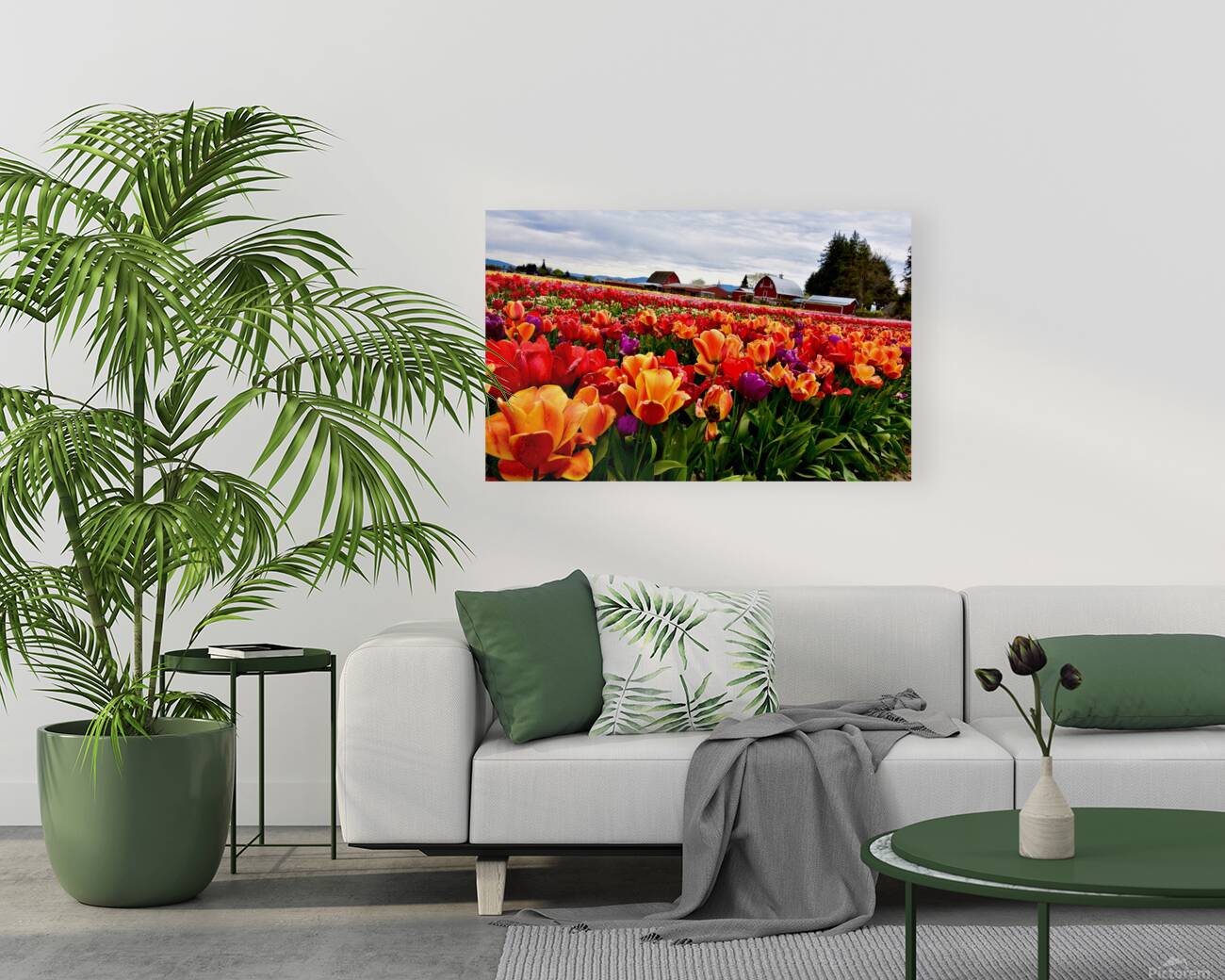 Field of Glory  Reproduction