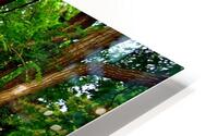 Summer Camp HD Metal print