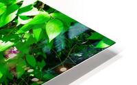 Park Bench HD Metal print