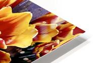 Spring Bloom HD Metal print