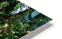 Springtime Wine HD Metal print