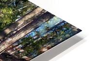 Mount Shasta HD Metal print