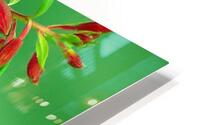 Wild Flowers HD Metal print