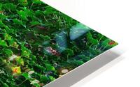 Open Window HD Metal print