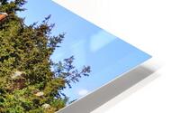Orcas Island HD Metal print