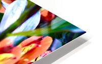 Dynamic Flowers HD Metal print