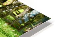Round About  HD Metal print