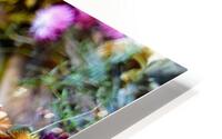 Dried Flowers HD Metal print