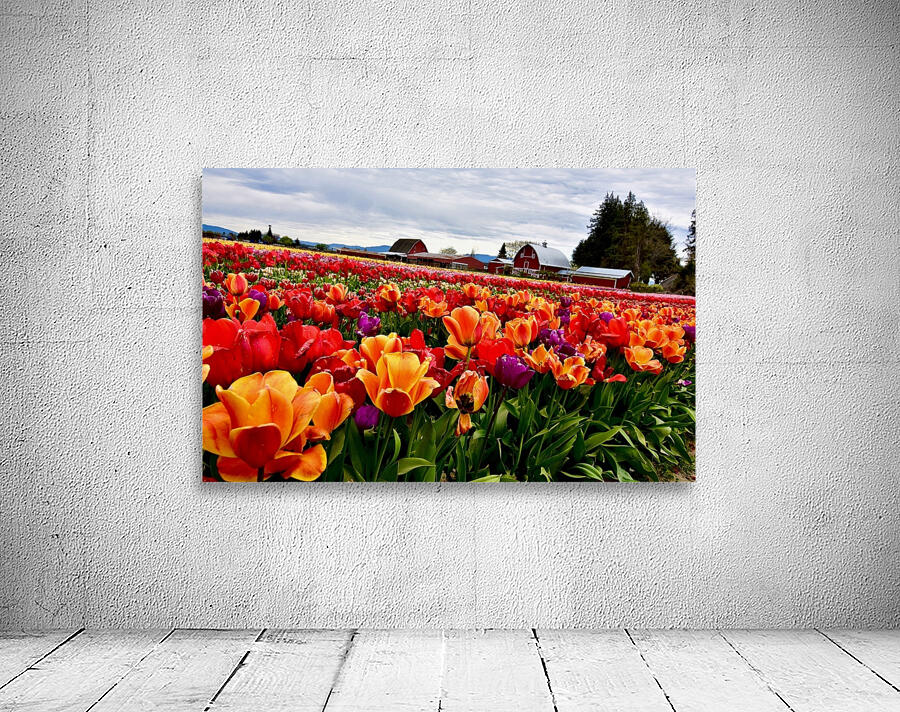 Field of Glory  Wall Preview