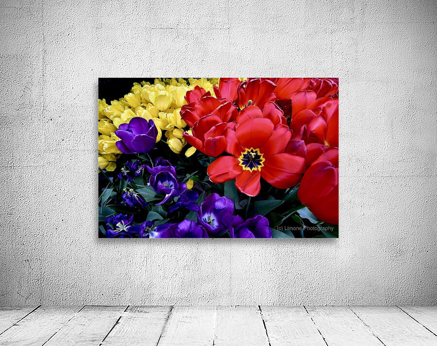 Black Eye Wall Preview