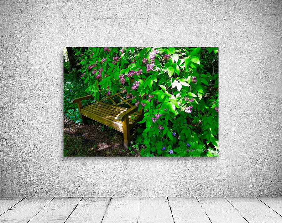 Park Bench Wall Preview