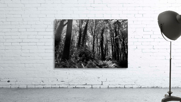 Forbidden Forest Wall Preview