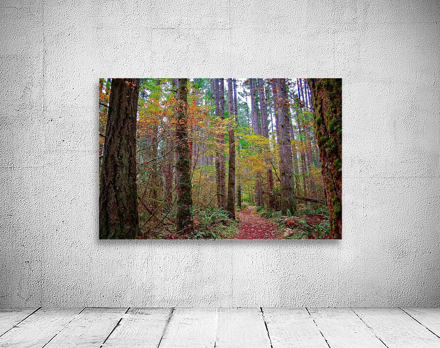 Fall Forest Pathway Wall Preview