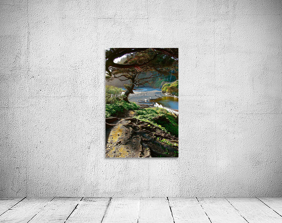 Beachside Pathway Wall Preview