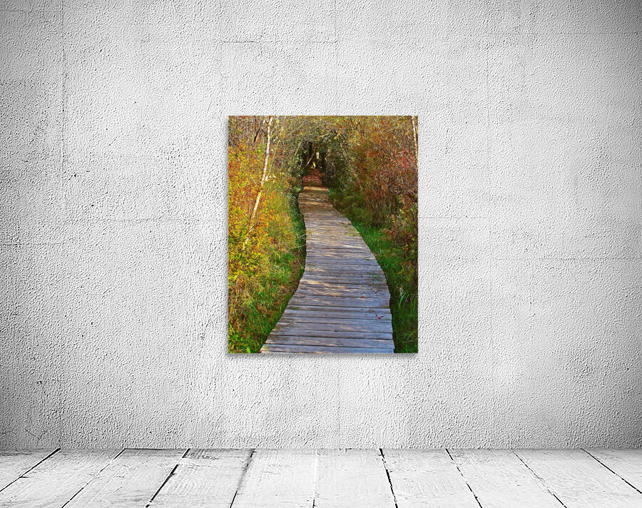 Covered Pathway Wall Preview