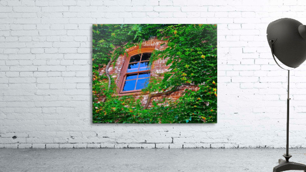 Open Window Wall Preview