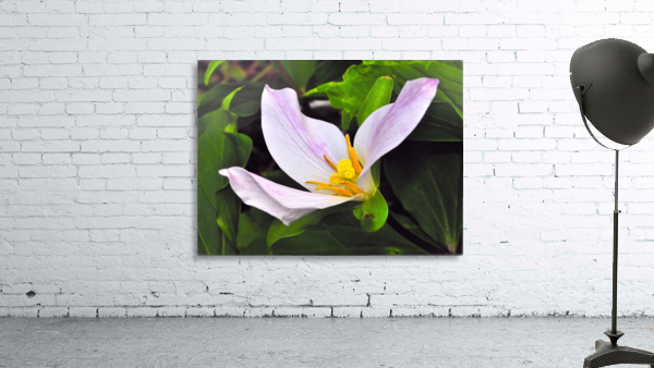 Flower Works Wall Preview