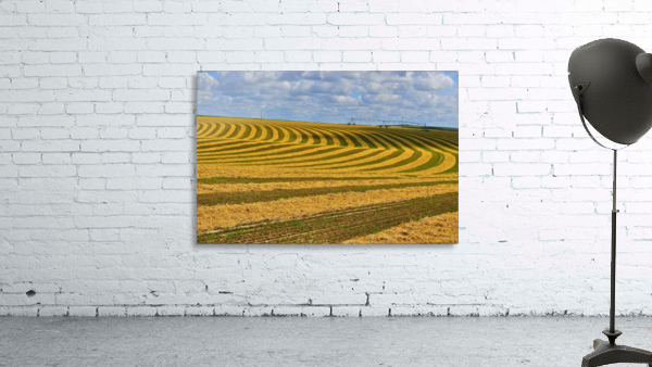 Crop Circles Wall Preview