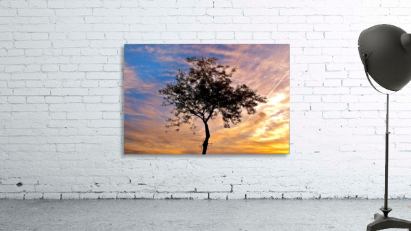 Desert Sunrise Wall Preview