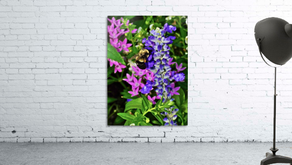 Bumblebee  Wall Preview