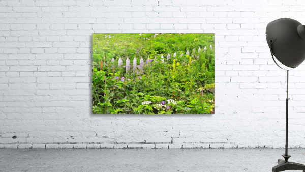 Picket Fence Wall Preview