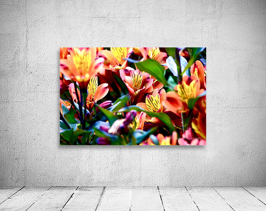 Dynamic Flowers Wall Preview