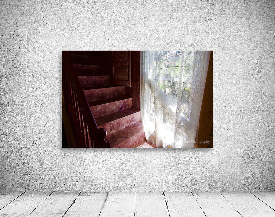 Daydream  Wall Preview