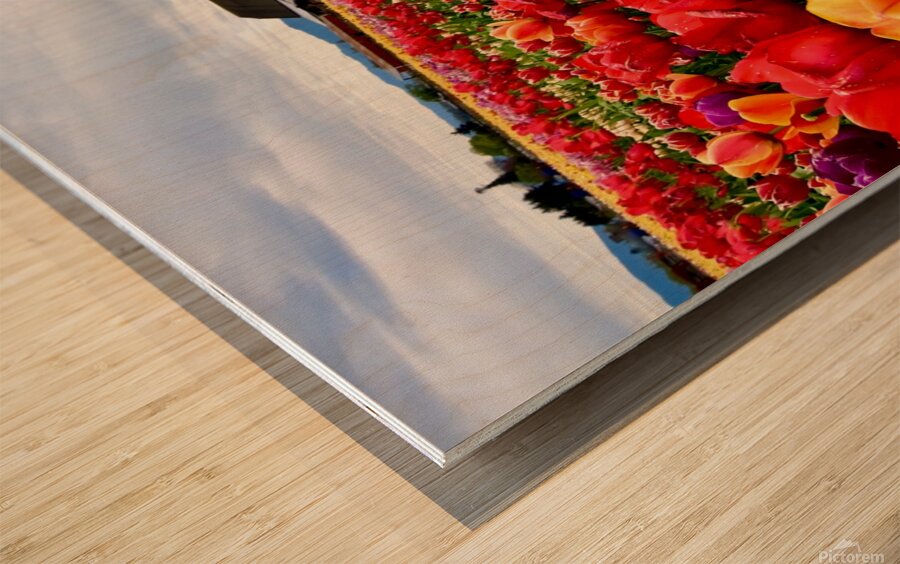 Field of Glory  Wood print